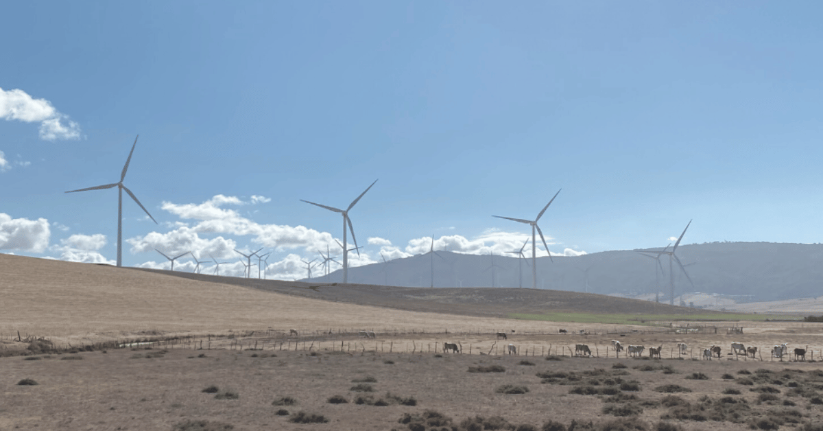 Naturaleza y tecnología